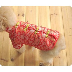Fashionable Dragons Chinese Pet Costume