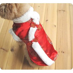 Luxury Chinese Costume with Flower Print