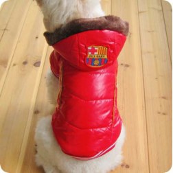 Fashionable Waterproof Hooded Windcoat