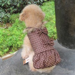 Polka Dot Winter Dress with Bow