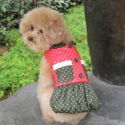 Elegant Polka Dot Print Design Winter Dog Clothes