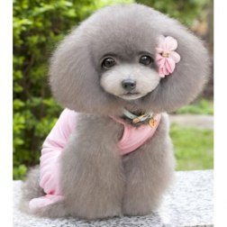 Rhinestone LOVE Tracksuit Pajamas