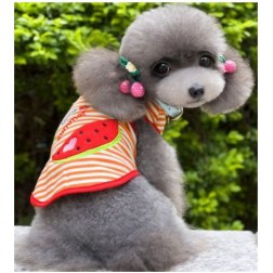 Fruit Pattern Print Vest