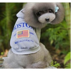 Fashionable Outwear with USA Flag