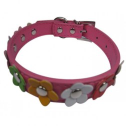 Colorful Flowers Style Dog Collar