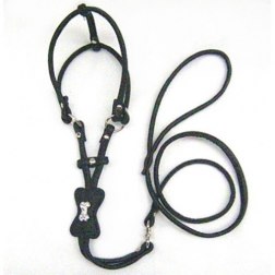 Fashionable Harness with Leash