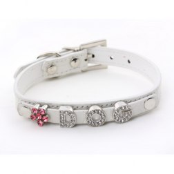 Charming Diamond Alphabet  Dog Collar