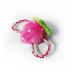 Strawberry Shape Pet Toy with Rope