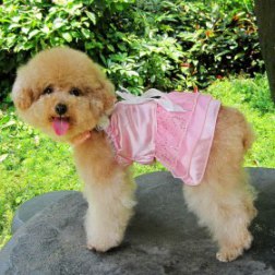 Stretchy Satin Wedding Style Tutu Dress