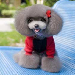 Superman Hooded Autumn Coat