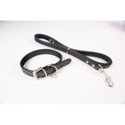 Polka Dot Pattern Collar  with Leash