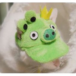 Pig Style Baseball Cap