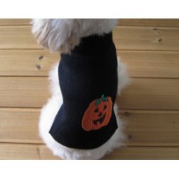 Hallowean Pumpkin Pet Sweater