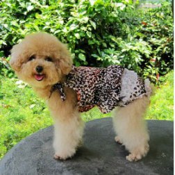 Sexy Leopard Grain Style Swimsuit