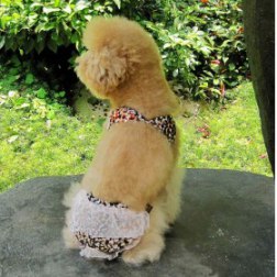 Sexy Leopard Print Bikini Set