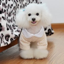 Keyhole Style Lovely Puppy Shirt with Bow