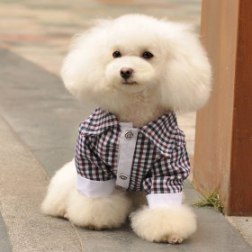 Long Sleeved Pure Plaid Pet Shirt