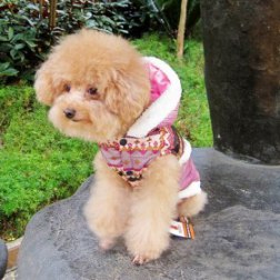 Milan a Trench Hoodie Coat