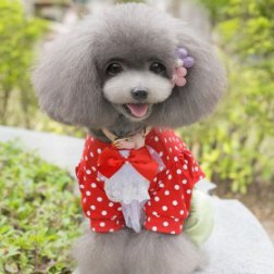 European Polka Dot And Bowknot Designed Shirt