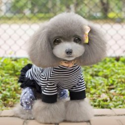 Stripe Style Ruffle Edge Trim Shirt