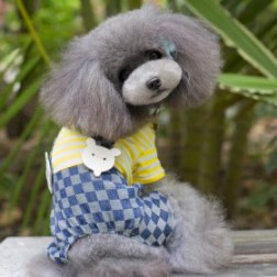 Striped Style Baby Overalls