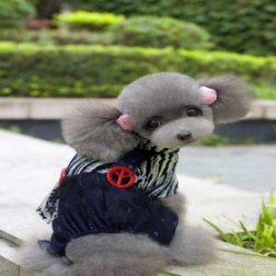 Zebra Design Overalls