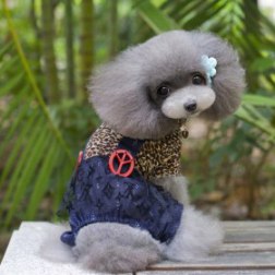 Sexy Leopard Print Overall