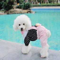 Polka Dot School Costume
