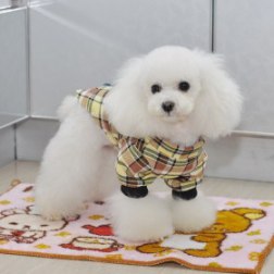 Long Sleeved Plaid Style Shirt