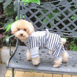 Fashion Striated Style Jumpsuit