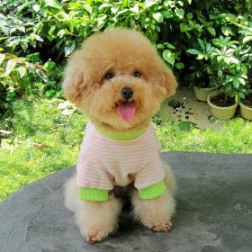 Striped Mushroom Print Costume