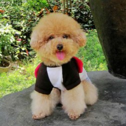 Love Bear Striped Dress with Bow