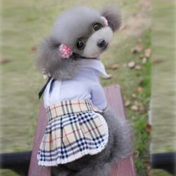 Plaid Dog Dress With A Bow Tie