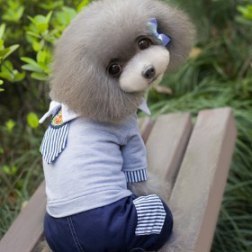 School Uniform Dog Overall