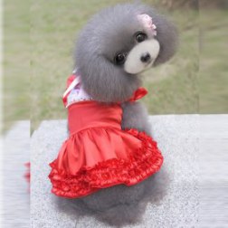 Lolita Dog Ruffled Red Dress