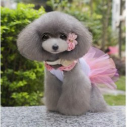 Meta-U Pet Dog Lace Layered Grenadine Embroidery Suspender Dress