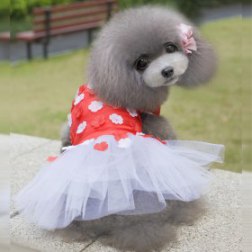 Red Flower Tutu Dress