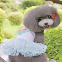 Sequin Stars Print Dress

Sequin Stars Print Dress