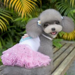 Sequin Stars Print Pink Dress