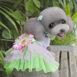 Sun-flowers Gauze Dress