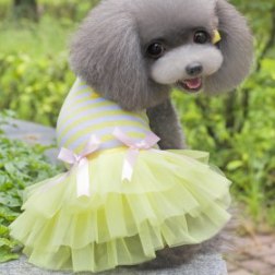 Yellow Stripe Gauze Dress