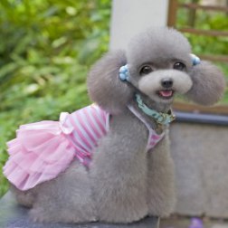 Pink Stripe Gauze Dress