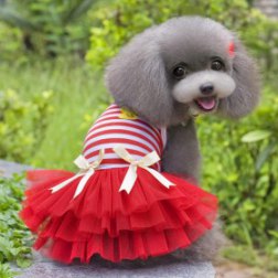 Red Stripe Gauze Dress