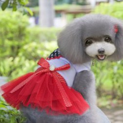 Lovable Gauze Dog Dress