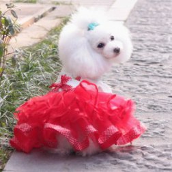 Lovely Dog's Tutu Dress