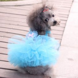 Lovely Dog's Gauze Rosette Tutu Dress