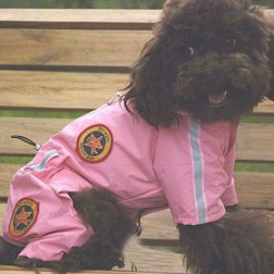 Plus Size Waterproof Hoodie Raincoat