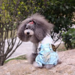 Fashion Dog Jumpsuit