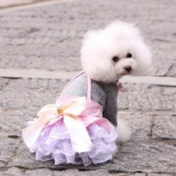 Sexy Dog Suspender Skirt