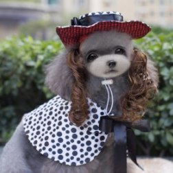 Black Spotty Cow Print Girl Suit